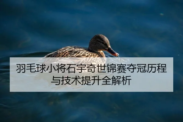 羽毛球小将石宇奇世锦赛夺冠历程与技术提升全解析