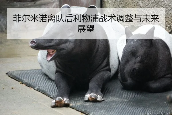 菲尔米诺离队后利物浦战术调整与未来展望